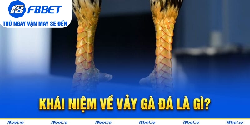 Vảy Gà Thới Hoa Đăng - Bí Kíp Lựa Chiến Kê Tốt F8bet - Mexa