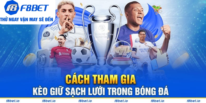 Bí Quyết Bắt Kèo Giữ Sạch Lưới Cực Hiệu Quả Từ Chuyên Gia - Mexa