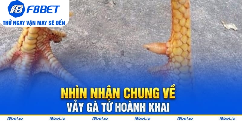Vảy Gà Tứ Hoành Khai Và Những Điều Cần Biết 2026 - Mexa