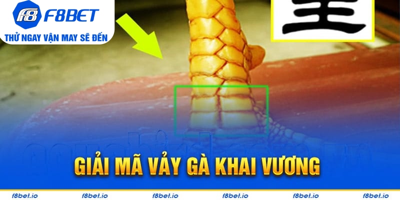 Bật Mí Vảy Gà Khai Vương Và Cách Nhận Biết Chúng Ra Sao?  - Mexa