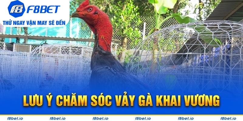 Bật Mí Vảy Gà Khai Vương Và Cách Nhận Biết Chúng Ra Sao?  - Mexa