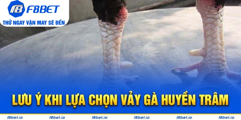Vảy Gà Huyền Trâm – Cách Xem Cực Chuẩn Cho Người Mới - Mexa