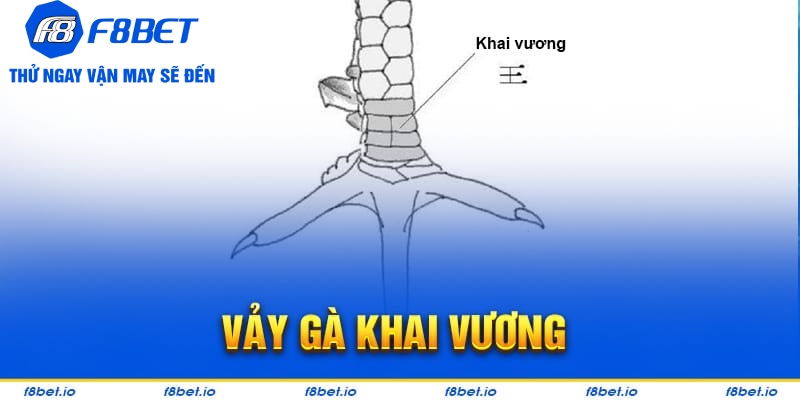 Bật Mí Vảy Gà Khai Vương Và Cách Nhận Biết Chúng Ra Sao?  - Mexa