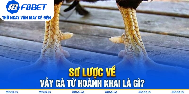 Vảy Gà Tứ Hoành Khai Và Những Điều Cần Biết 2026 - Mexa