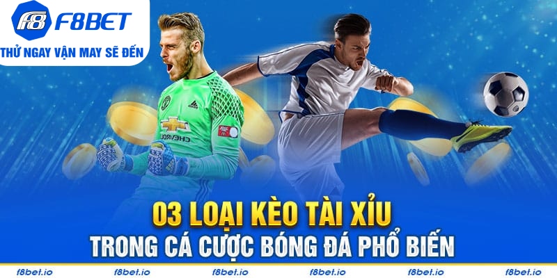 Những Điều Cần Biết Về Kèo Tài Xỉu Dành Cho Người Chơi Mới - Mexa