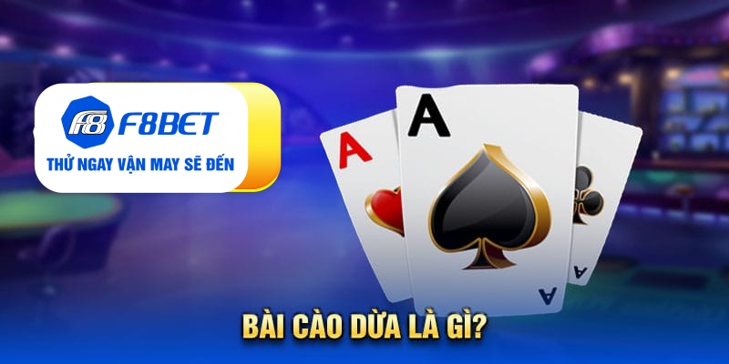 Cẩm Nang Kiến Thức Về Bài Cào Dừa Dành Cho Tân Thủ F8bet - Mexa