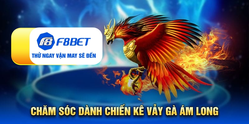 Vảy gà ám long - Đặc điểm nhận biết linh kê quý hiếm - Mexa