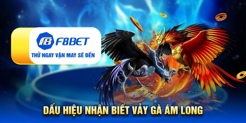 Vảy gà ám long - Đặc điểm nhận biết linh kê quý hiếm - Mexa