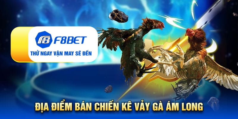 Vảy gà ám long - Đặc điểm nhận biết linh kê quý hiếm - Mexa