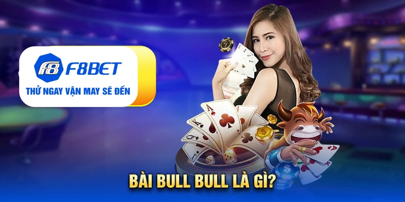 Kiến thức về bài bull bull chắc chắn tân thủ chưa biết - Mexa