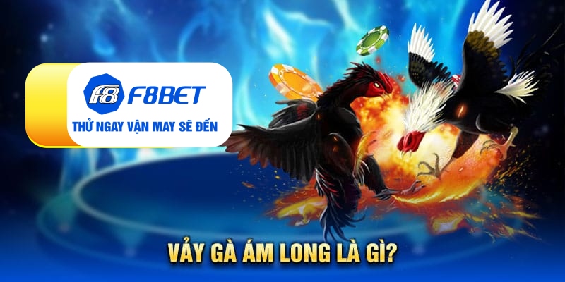 Vảy gà ám long - Đặc điểm nhận biết linh kê quý hiếm - Mexa