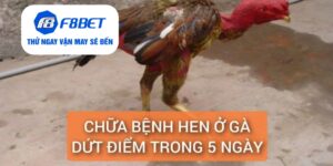 Đá Gà F8bet | Sảnh Cược Gà Đá Uy Tín Cho Các Kê Thủ - Mexa