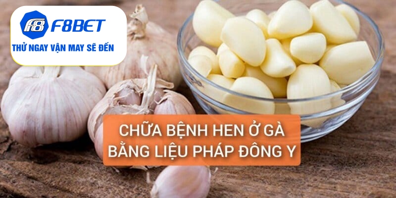 Chữa Bệnh Hen Ở Gà Điều Trị Dứt Điểm Trong 5 Ngày - f8bet - Mexa