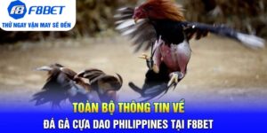 Đá Gà F8bet | Sảnh Cược Gà Đá Uy Tín Cho Các Kê Thủ - Mexa