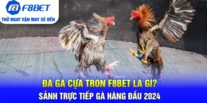 Đá Gà F8bet | Sảnh Cược Gà Đá Uy Tín Cho Các Kê Thủ - Mexa
