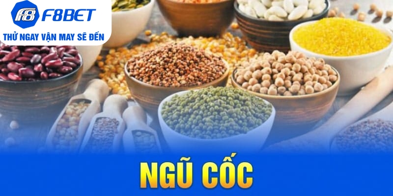 Top 7 Loại Thức Ăn Cho Gà Đá Chất Lượng Trên Thị Trường - Mexa