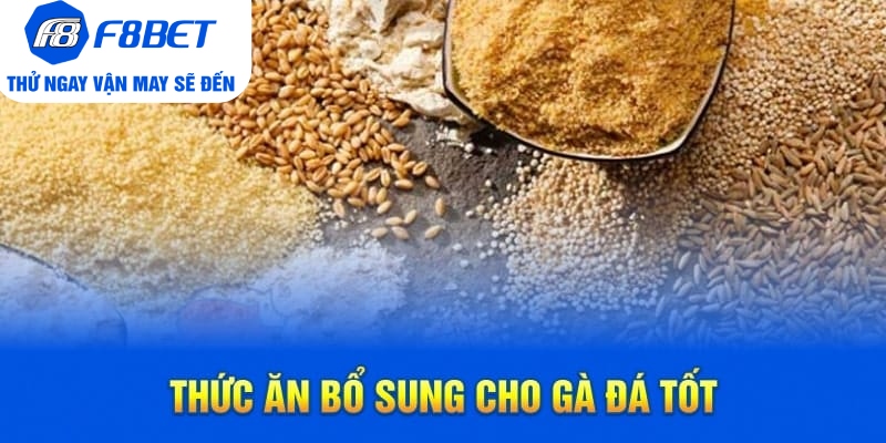 Top 7 Loại Thức Ăn Cho Gà Đá Chất Lượng Trên Thị Trường - Mexa