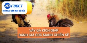 Đá Gà F8bet | Sảnh Cược Gà Đá Uy Tín Cho Các Kê Thủ - Mexa