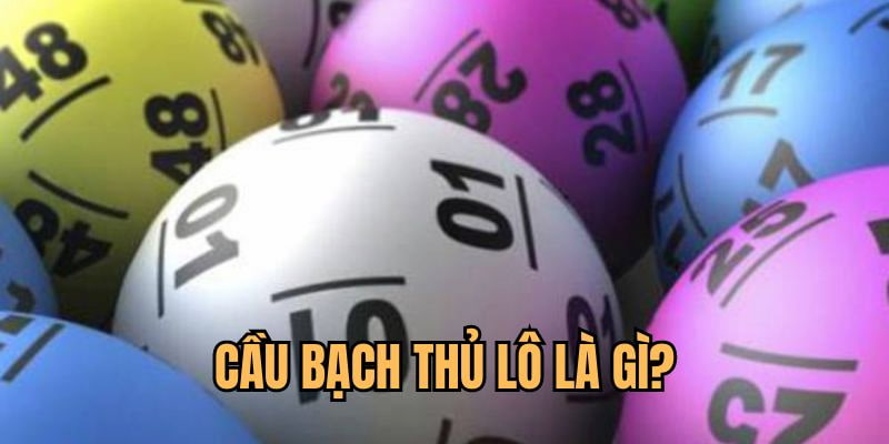 Bạch Thủ Lô Là Gì? Kinh Nghiệm Bắt Lô Bạch Thủ Tại F8Bet - Mexa