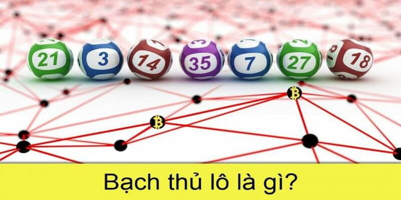 Bạch Thủ Lô Là Gì? Kinh Nghiệm Bắt Lô Bạch Thủ Tại F8Bet - Mexa