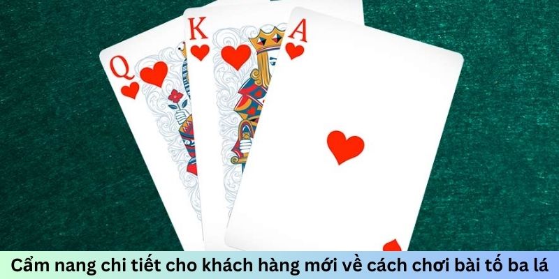 Cách Chơi Bài Tố Ba Lá - Chinh Phục Game Bài Hấp Dẫn 2026 - Mexa