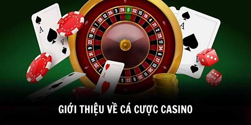 Hướng Dẫn Cá Cược Casino Chi Tiết Cho Trải Nghiệm Đỉnh Cao - Mexa