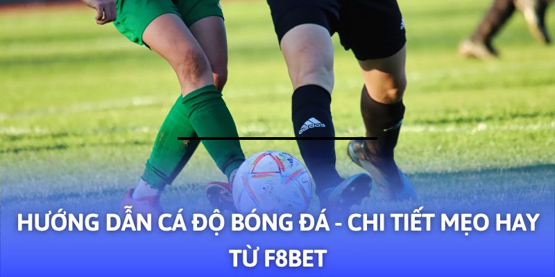 Hướng Dẫn Cá Độ Bóng Đá - 03+ Mẹo Hay Từ F8BET - Mexa