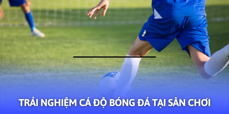 Hướng Dẫn Cá Độ Bóng Đá - 03+ Mẹo Hay Từ F8BET - Mexa