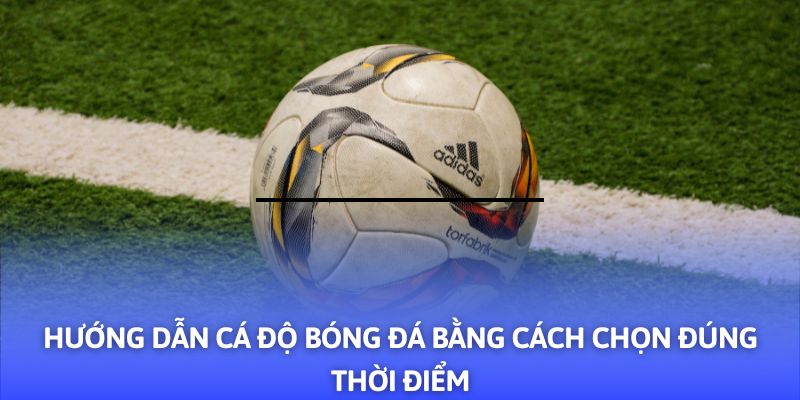 Hướng Dẫn Cá Độ Bóng Đá - 03+ Mẹo Hay Từ F8BET - Mexa