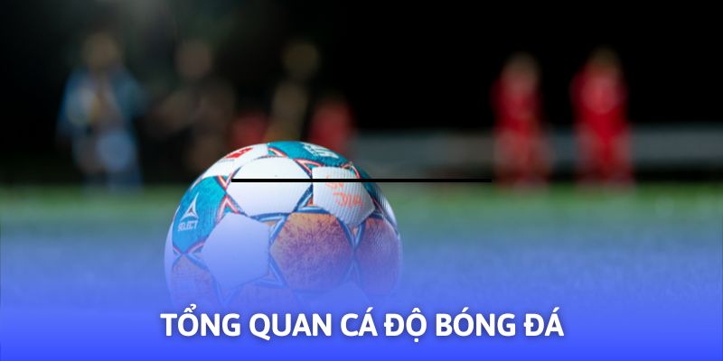 Hướng Dẫn Cá Độ Bóng Đá - 03+ Mẹo Hay Từ F8BET - Mexa