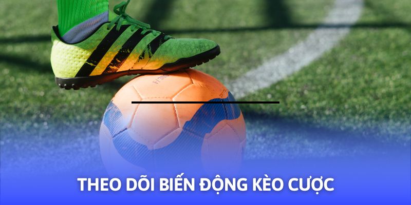 Hướng Dẫn Cá Độ Bóng Đá - 03+ Mẹo Hay Từ F8BET - Mexa