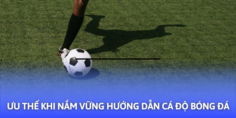 Hướng Dẫn Cá Độ Bóng Đá - 03+ Mẹo Hay Từ F8BET - Mexa