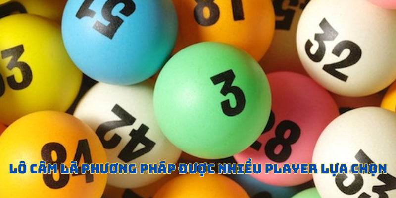 Lô Câm - Thao Tác Chơi Độc Đáo Nhất Tại F8BET Năm 2026  - Mexa