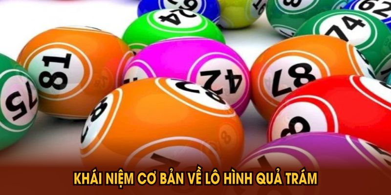Phương Pháp Bắt Lô Hình Quả Trám Hiệu Quả Bạn Nên Biết - Mexa