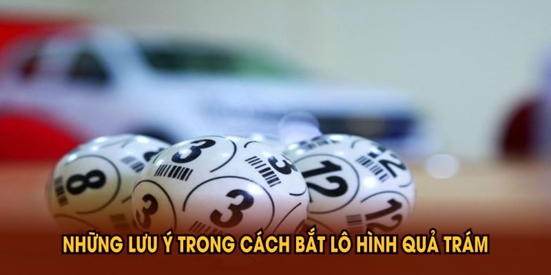 Phương Pháp Bắt Lô Hình Quả Trám Hiệu Quả Bạn Nên Biết - Mexa