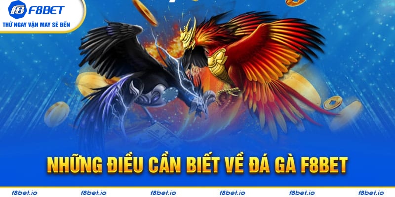Đá Gà F8bet | Sảnh Cược Gà Đá Uy Tín Cho Các Kê Thủ - Mexa